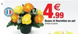 Bazarland Roses et fleurettes en pot offre