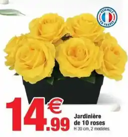 Bazarland Jardinière de 10 roses offre