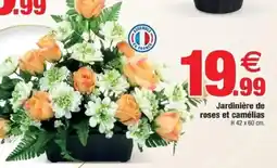 Bazarland Jardinière de roses et camélias offre