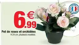 Bazarland Pot de roses et orchidées offre