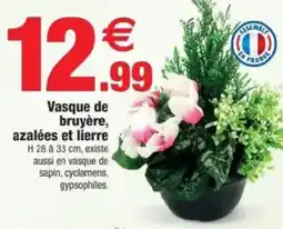 Bazarland Vasque de bruyère, azalées et lierre offre