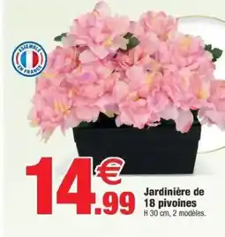 Bazarland Jardinière de 18 pivoines offre
