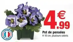 Bazarland Pot de pensées offre