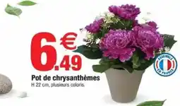 Bazarland Pot de chrysanthèmes offre