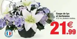 Bazarland Coupe de lys et hortensias offre