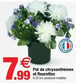 Bazarland Pot de chrysanthèmes et fleurettes offre