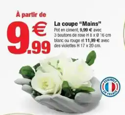 Bazarland La coupe "Mains" offre
