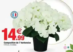 Bazarland Composition de 7 hortensias offre