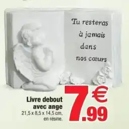 Bazarland Livre debout avec ange offre