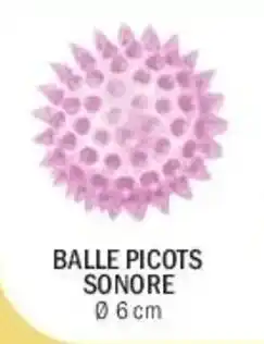 La Foir'Fouille Balle picots sonore offre