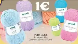 La Foir'Fouille Pelote lisa offre