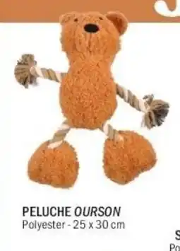 La Foir'Fouille Peluche ourson offre