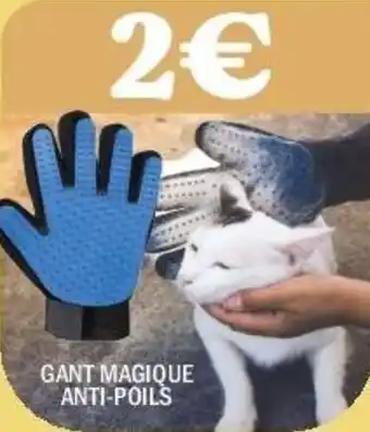 La Foir'Fouille Gant magique anti-poils offre