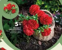 La Foir'Fouille Bouquet 5 chrysanthemes offre