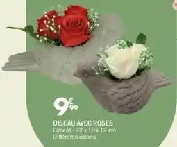 La Foir'Fouille Oiseau avec roses offre