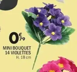 La Foir'Fouille Mini bouquet 14 violettes offre