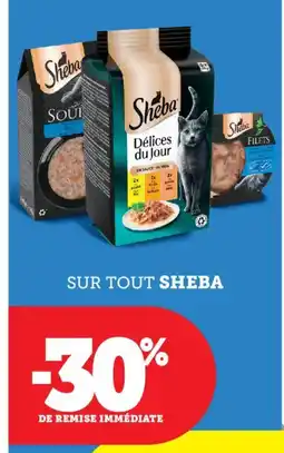 Bi1 SHEBA Sur tout offre