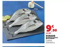 Bi1 Dorade royale offre