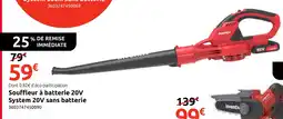 Mr Bricolage Souffleur à batterie 20V System 20V sans batterie offre