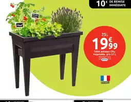 Mr Bricolage EDA Table potager City Vegetable gris offre