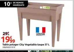 Mr Bricolage Table potager City Vegetable taupe offre