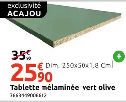 Mr Bricolage Tablette mélaminée vert olive offre