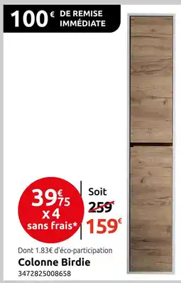 Mr Bricolage Colonne Birdie offre