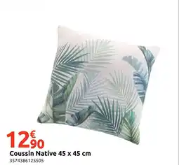 Mr Bricolage Coussin Native offre