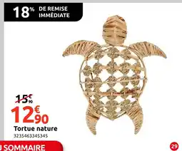 Mr Bricolage Tortue nature offre