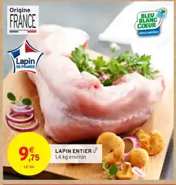 Intermarché Contact Lapin entier offre
