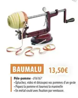 Cuisine Plaisir BAUMALU Pèle-pomme offre