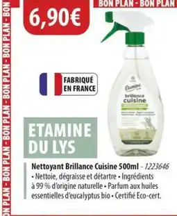 Cuisine Plaisir ETAMINE DU LYS Nettoyant Brillance Cuisine offre