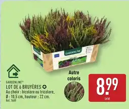 ALDI GARDENLINE Lot de 6 bruyères offre