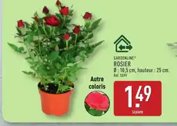 ALDI GARDENLINE Rosier offre