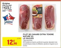 Intermarché Hyper Filet de Canard Extra Tendre Nature X3 offre