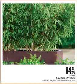 Intermarché BAMBOU POT 17 CM offre