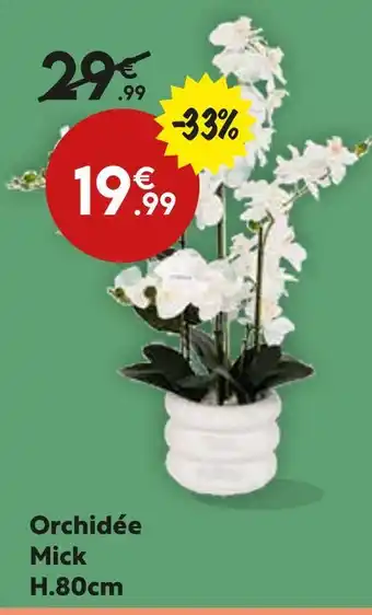 Maxi Bazar Orchidée Mick offre