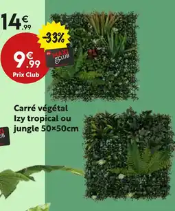 Maxi Bazar Carré végétal offre