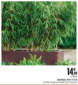 Intermarché Express Bambou pot offre