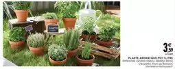 Intermarché Express Persil - plante aromatique pot litres offre