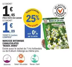 E.Leclerc Brico E.leclerc - narcisse botanique canaliculuts beaux jours offre