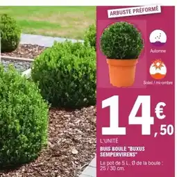 E.Leclerc Brico Buis boule buyus semipervirens offre