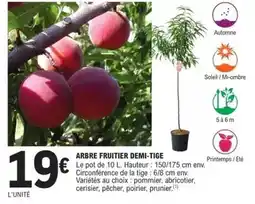 E.Leclerc Brico Prunier - arbre fruitier demi-tige offre