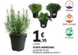 E.Leclerc Brico Plante aromatique offre