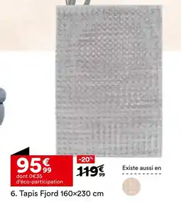 BUT Tapis Fjord 160×230 cm offre