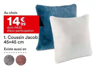 BUT Coussin jacob 45x45 cm offre