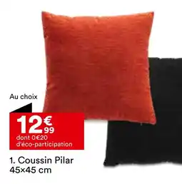 BUT Coussin pilar 45×45 cm offre