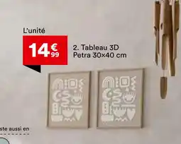 BUT Tableau 3D offre