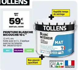 Brico Dépôt TOLLENS Peinture blanche bicouche offre
