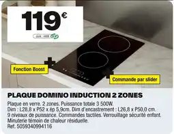 Brico Dépôt Plaque domino induction 2 zones offre